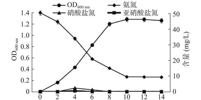 水中养分浓度对鲫鱼生长的神秘影响！