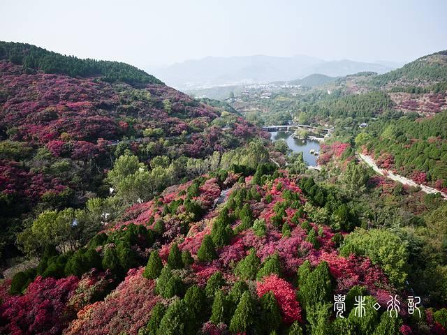 特种兵游山东，吃美食看美景