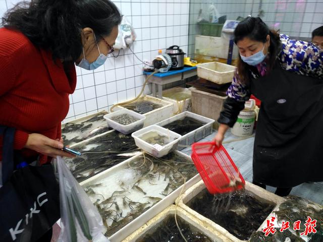 旧时高档海鲜基围虾，如今“游”入寻常百姓家