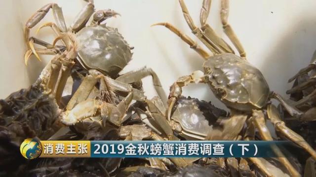 不知怎样辨别真假阳澄湖大闸蟹？记住这一个方法就够了→