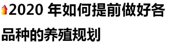 草鱼、鲤鱼、鮰鱼到底怎么养？2020年苏北区域水产行情分析