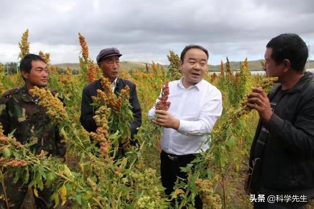 一心奉献为农家——记农业农村部挂职干部张天佑