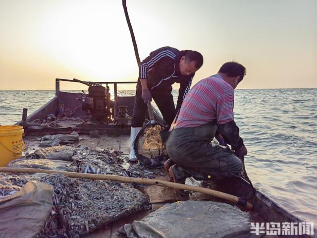 桂东出海记丨一网情深！最后1万多斤黑头上岸后，这片养殖区域将说再见