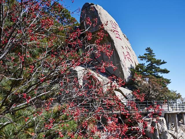 特种兵游山东，吃美食看美景