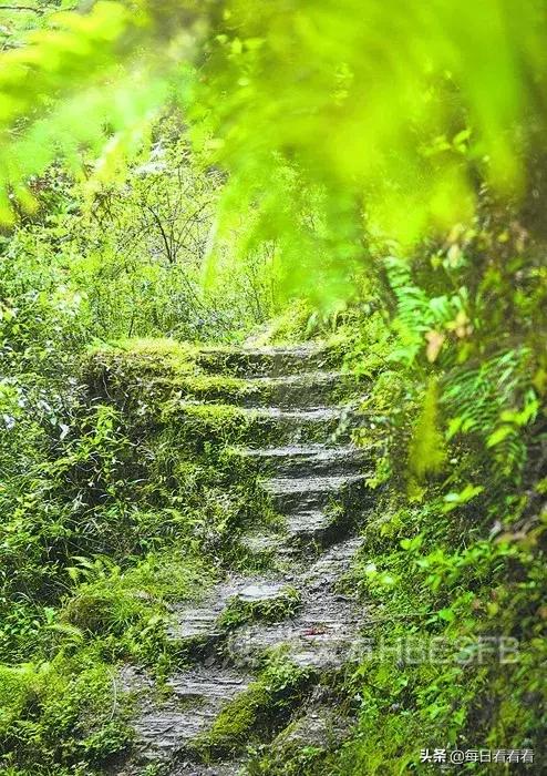 利川这处古寨，贺龙曾三进三出……