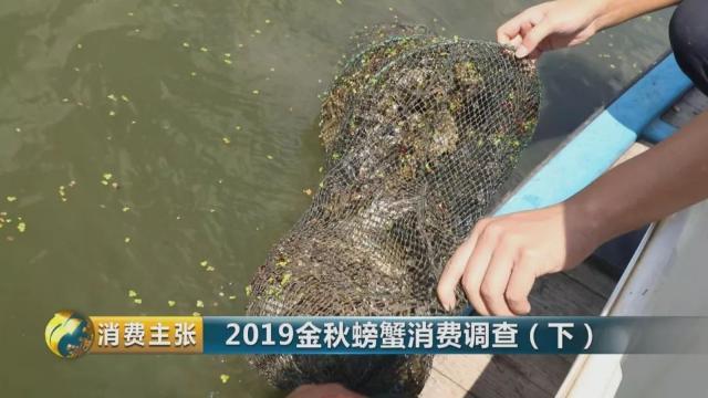 不知怎样辨别真假阳澄湖大闸蟹？记住这一个方法就够了→