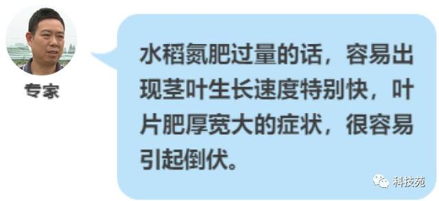 一亩田四份收入，小青蛙变出大财富！