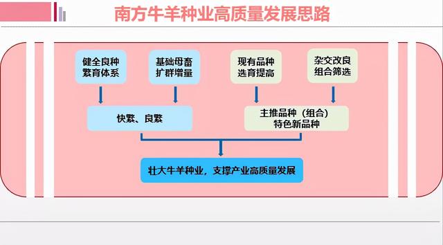 韦英明：良种缺乏、优质饲料本地供应不足…南方地区牛羊产业亟需解决五大挑战