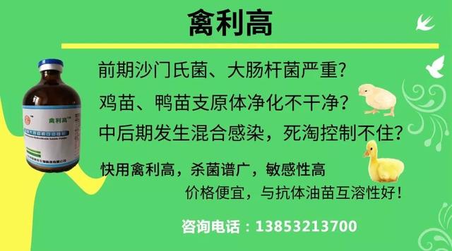 2019年3月30日鸭苗、毛鸭行情早报与趋势分析