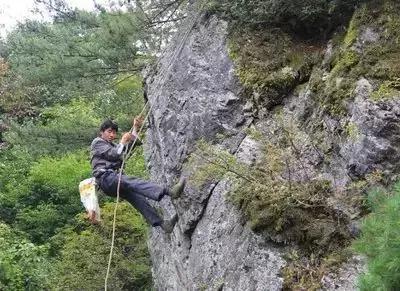 徽州美食｜黄山双石：溪流石洞，绝壁之花 汤清味鲜，滋补强身