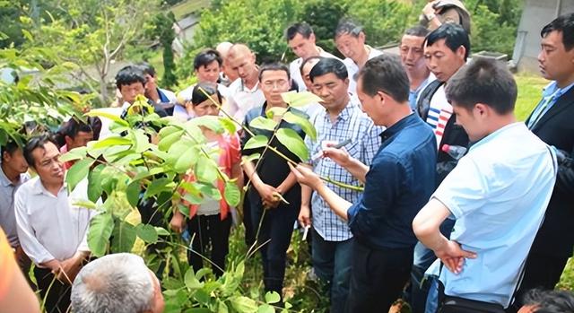 请你停止讹传！农民考农艺工证好处多，但不是要考农民证或种地证