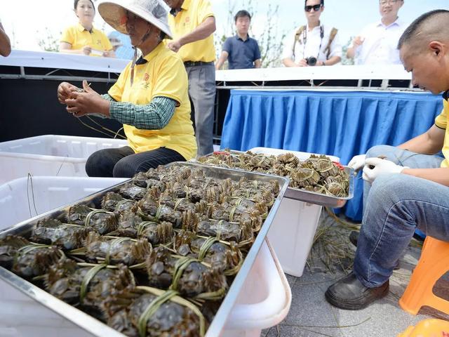 大闸蟹价格飙升，蟹农苦不堪言