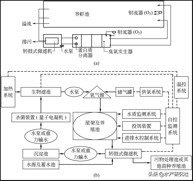 增氧机、投饵机的配置与安装全攻略，让你的养殖业轻松赚钱！