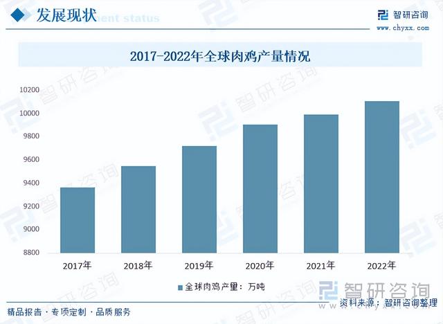 【前景趋势】一文读懂2023年肉鸡养殖行业未来发展前景