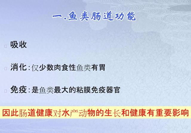 南极磷虾粉助力锦鲤养殖：血清生化指标和菌群变化大揭秘！