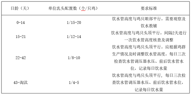 蛋鸡鸡舍密闭式饮水系统高效利用建议