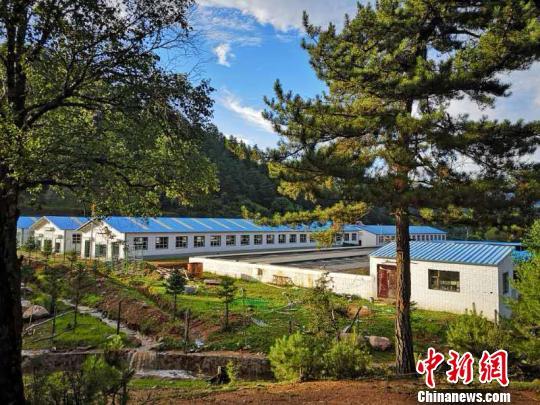 山西最大林麝养殖基地落户交城 特色养殖助力脱贫