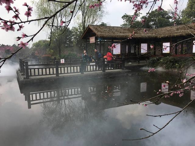 桃花梨花进入盛花期 四川自贡七大赏花景点盘点