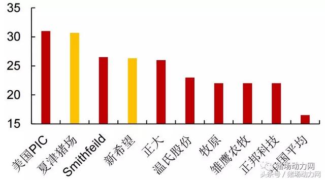 除了温氏，还有新好、雏鹰模式，原来“公司+农户”有这么多玩法