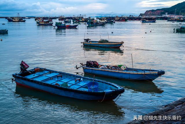 春季如何钓海鲈鱼？根据潮水选择最佳的出钓时间，使用不同的钓法