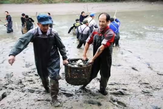 超刺激！来聊一聊养鱼的人抓到的那些镇塘之宝，长见识了