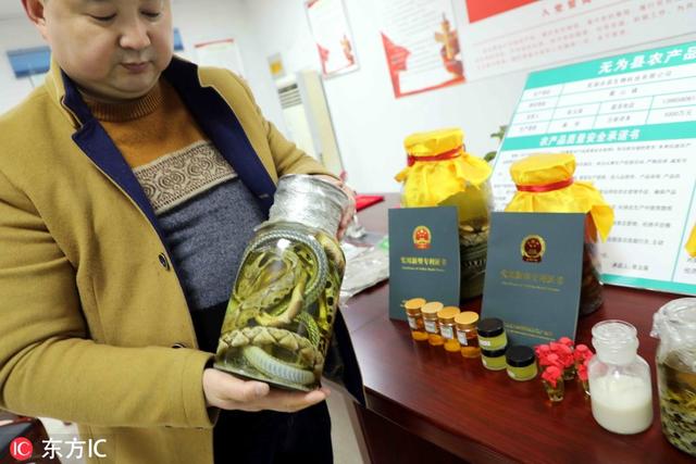 敢盘吗？小伙养5万条毒蛇，常被蛇咬，年入1千万