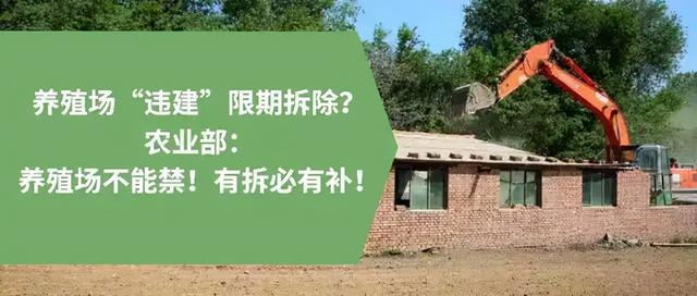 没有手续的养殖场算不算违建？今天才看明白