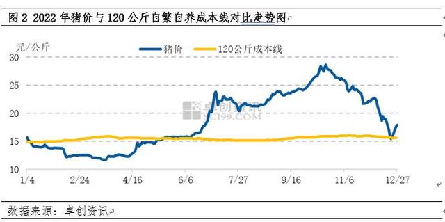 2022年猪市复盘及展望：养殖成本降至低位，盈利期到来