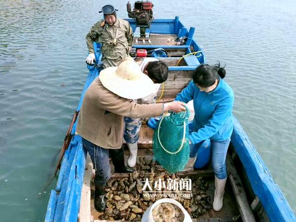 烟台海参“游”向深蓝⑧｜海洋牧场：打好海参牌还得会吆喝