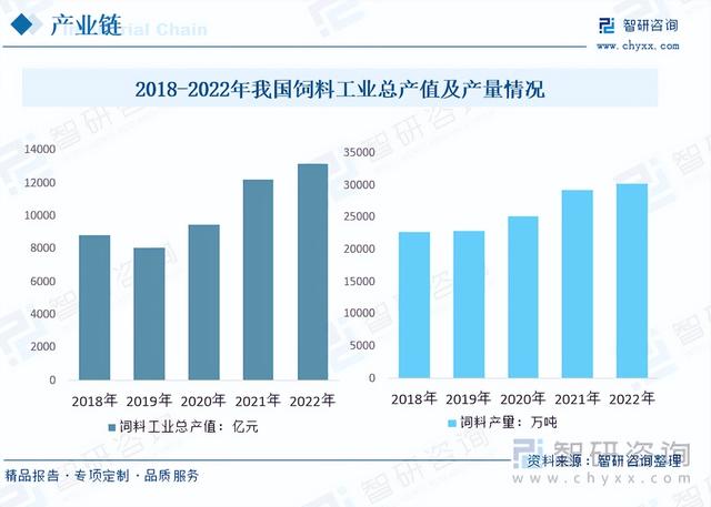 【前景趋势】一文读懂2023年肉鸡养殖行业未来发展前景