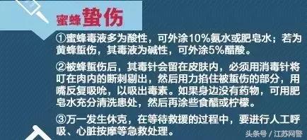 一个蜂窝值60万？南宁5名男子掏马蜂窝被刑拘，还可能要赔……