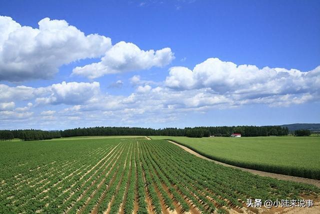 农村人的好事情，“一村一大田”来了，如今正在试点，你期待吗？