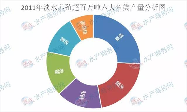 淡水养殖六大鱼类发展趋同，草鱼稳居首位，鳙鱼赶超鲤鱼挤进前三