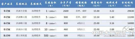 池塘精养小龙虾必须做好这四个关键点