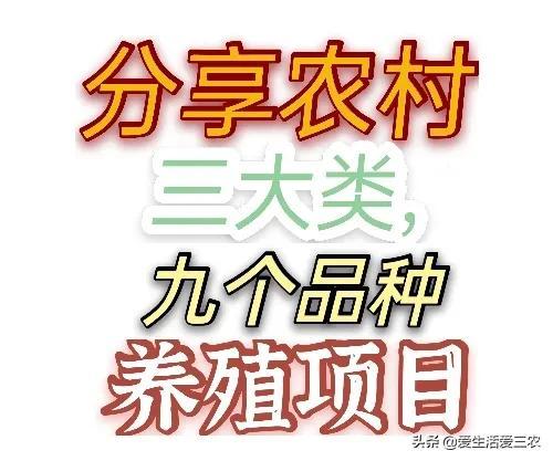 这些发家致富的机会，你能把握住吗？创业真没有那么难的