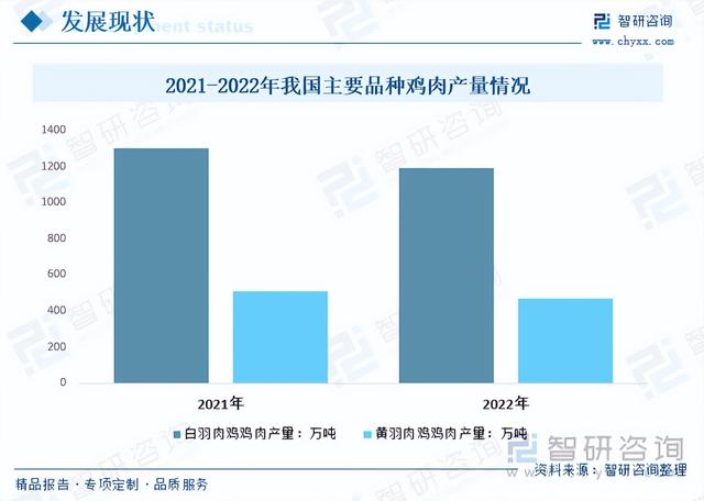 【前景趋势】一文读懂2023年肉鸡养殖行业未来发展前景