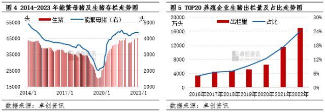 非基本面因素——政策对生猪行业的影响分析