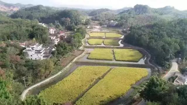 「关注」兴国有处“神秘”的小龙虾基地！