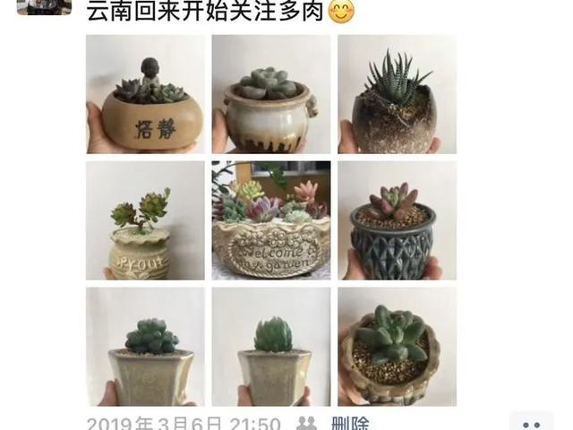 爱旅行，爱花草，生活有远方也有多肉