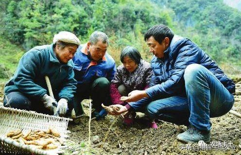 对不起，那些挣大钱的“致富经”项目我已经不信了