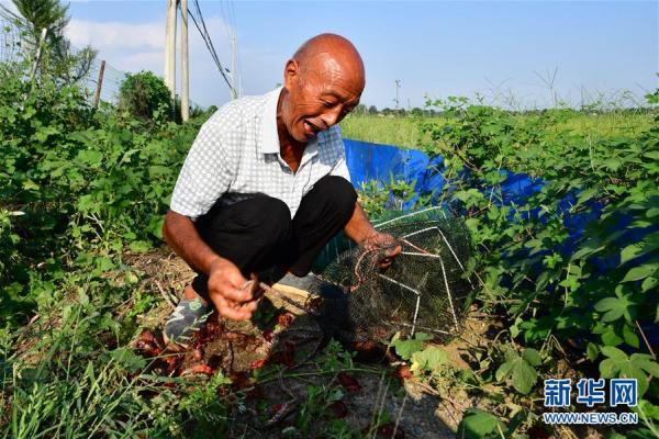 河南淅川：用绿色守护京津“水缸”——伏牛山看新变