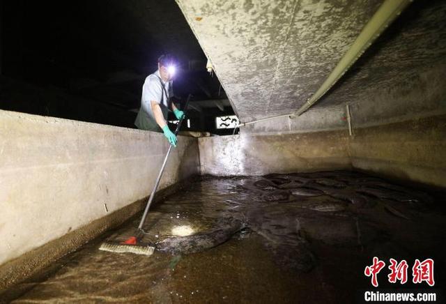 湖南张家界：“仿生态”技术救护繁育大鲵