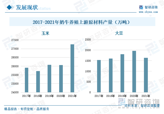 奶牛养殖行业市场现状分析：存栏量提升，大型牧场占据市场主流