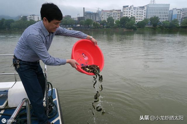 什么样的水体环境才适合鳝鱼的生长繁殖呢？这里与你想要的答案