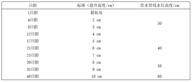 蛋鸡鸡舍密闭式饮水系统高效利用建议