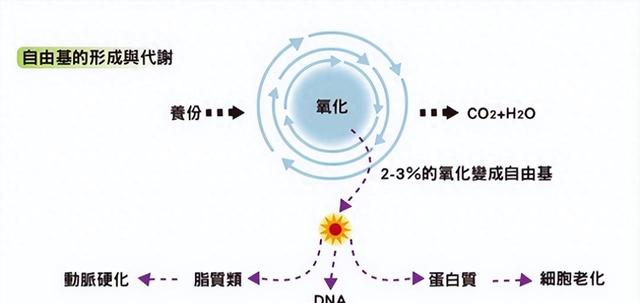 南极磷虾粉助力锦鲤养殖：血清生化指标和菌群变化大揭秘！