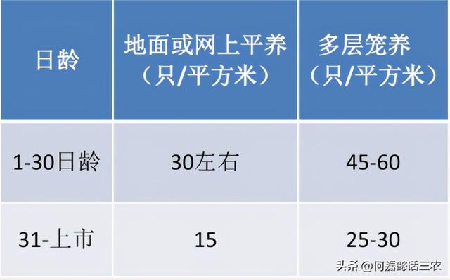 家禽养殖技术必须知道的几件事