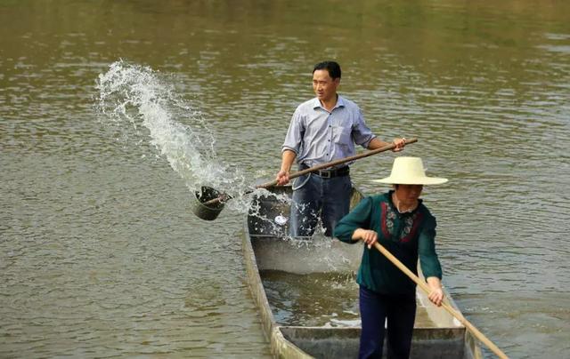 南美白对虾一定要注意这八个误区！不然全白搭