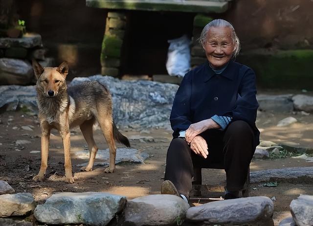 为何有人收购活了十几年的老狗，它们有什么用？看完你舍得卖吗？