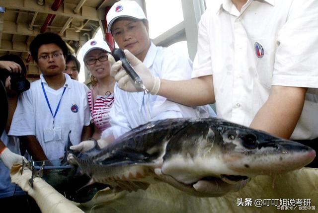 水产专业研究方向、各科必达分数、五星级院校推荐、就业方向分析